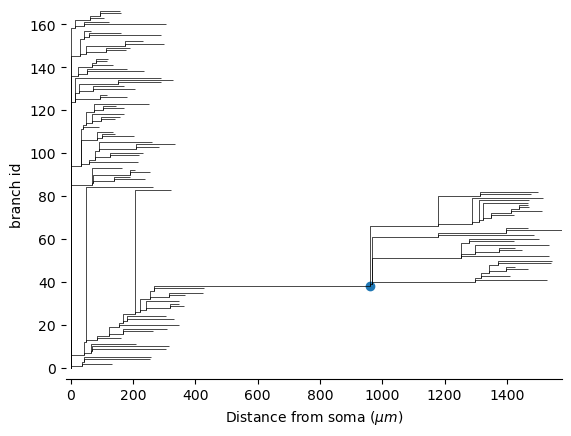 ../../../_images/dendrogram.png