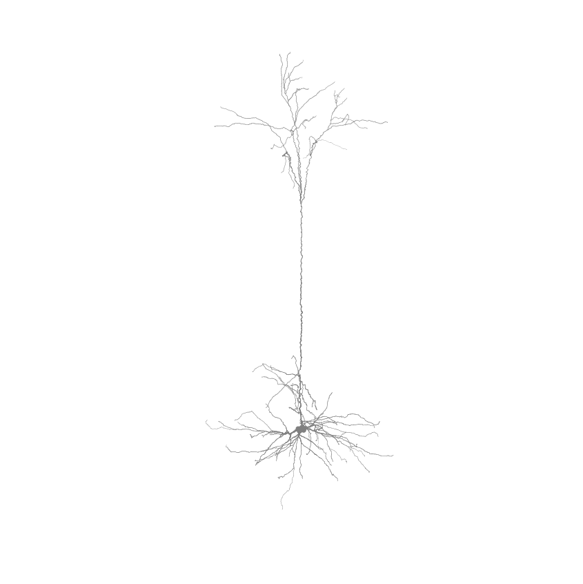 ../../_images/tutorials_1._neuron_models_1.1_Simulation_14_0.png